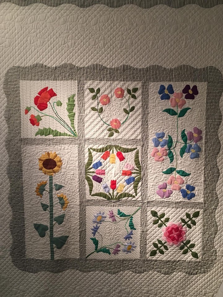 Channeling Pioneer Woman - Sister's Choice Quilts